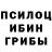 Псилоцибиновые грибы Magic Shrooms Book Nirvana